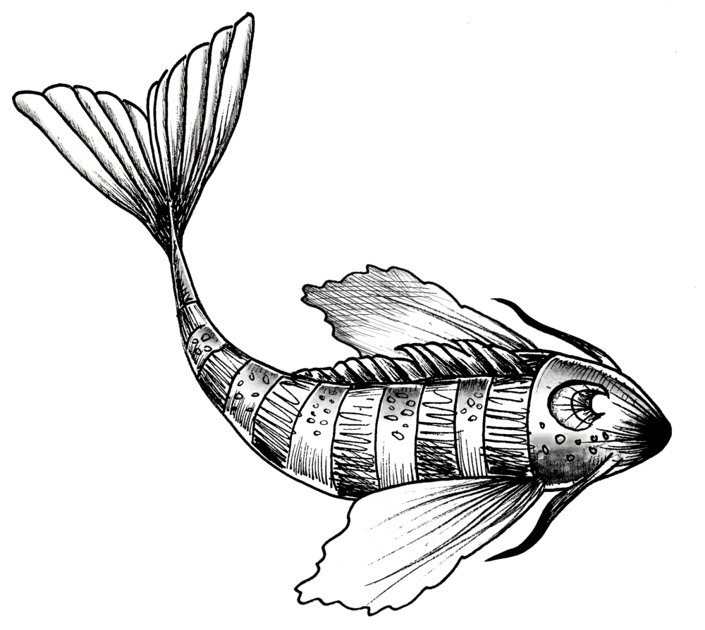 Fish 27