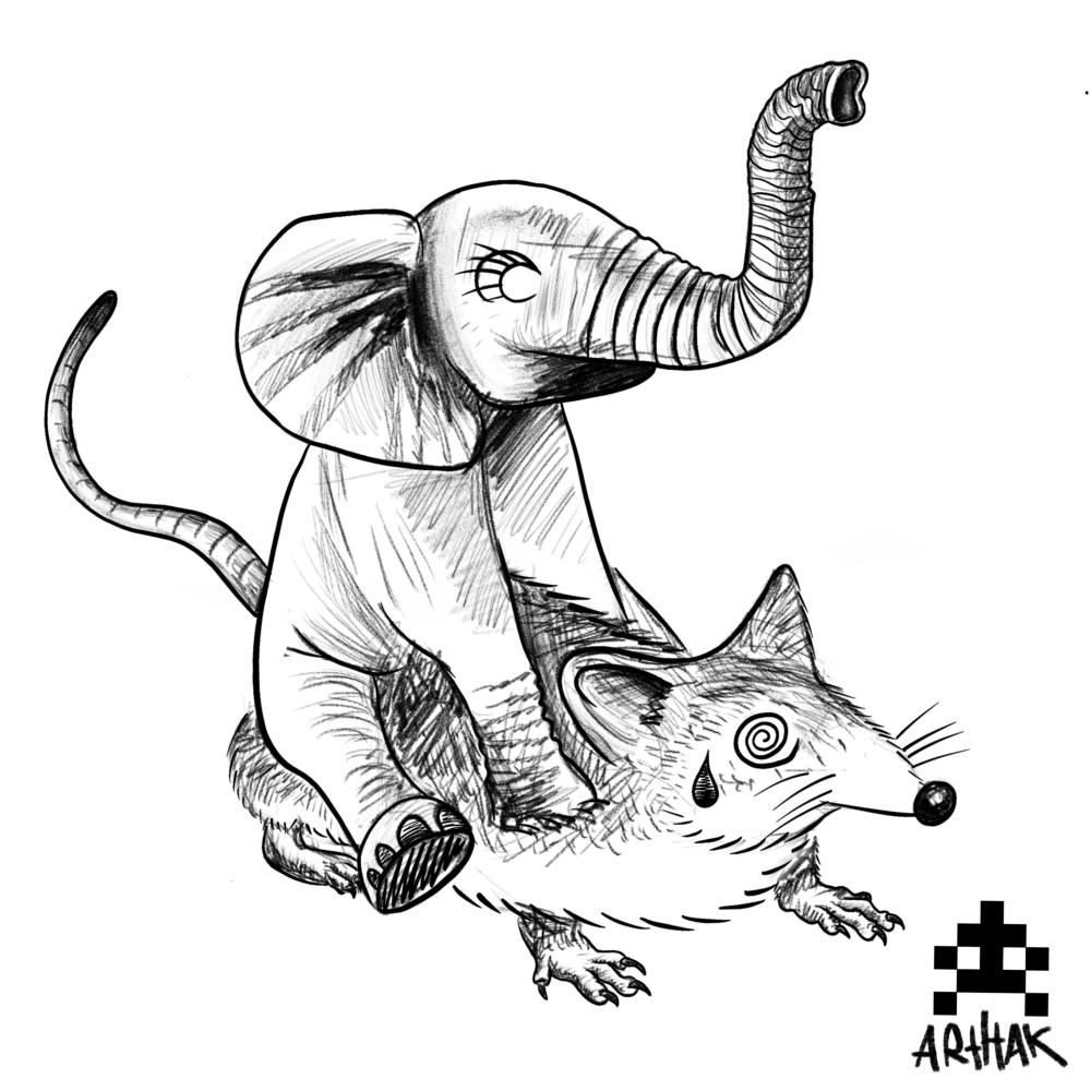 Elephant on a rat